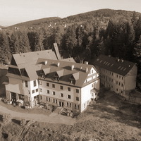 Zawoja sepia