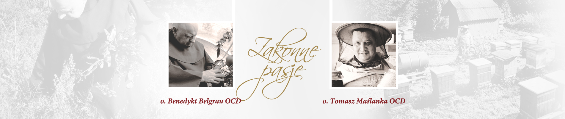 zakonne_pasje zakonne_pasje